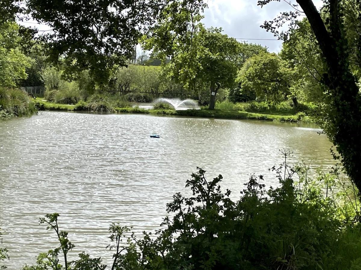 Luxury Caravan Cornwall Sleeps 4 Countryside View سانت أوستيل المظهر الخارجي الصورة